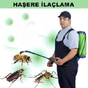 Atkaracalar Böcek İlaçlama
